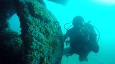 Brasil se destaca como un destino de buceo gracias a su biodiversidad marina y a sus increíbles ecosistemas subacuáticos.&nbsp;