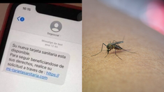 Estafadores ofrecen turnos falsos para vacunarse contra el dengue y así obtener datos personales. Estafadores ofrecen turnos falsos para vacunarse contra el dengue y así obtener datos personales.