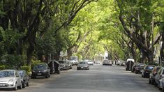 La historia detrás de esta preciosa calle.
