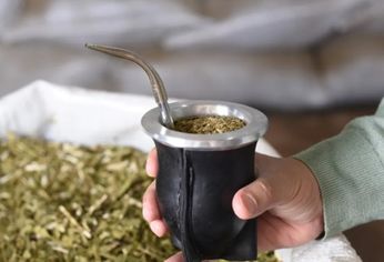 Se busca un consumo más cercano a lo sensorial y lo saludable.