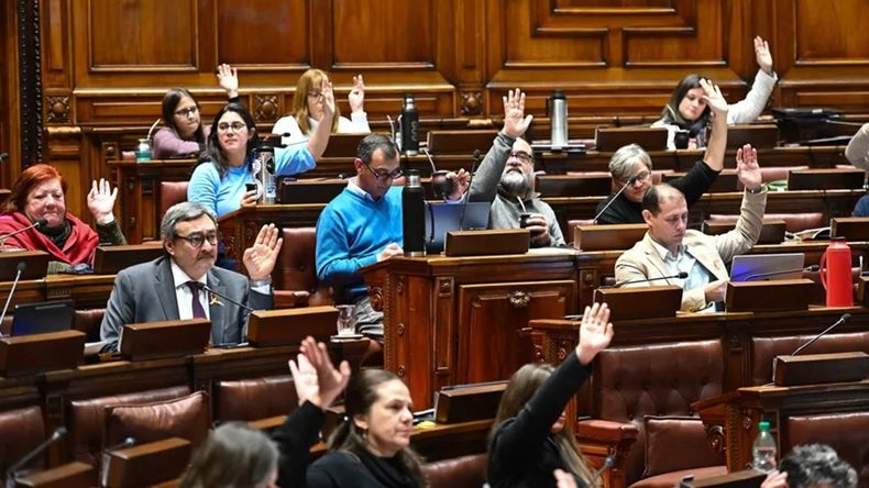 Por 20 votos afirmativos sobre 31 totales