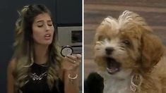 Julieta fue víctima de los cachorros. Julieta fue víctima de los cachorros.