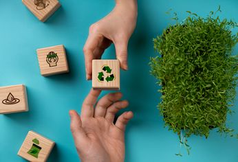 C5N | sostenibilidad empresas ecología medio ambiente sustentabilidad