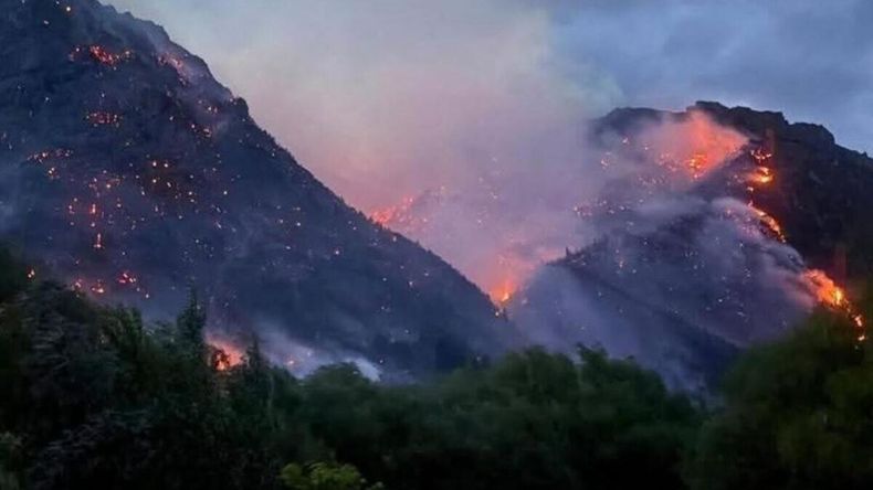 El fuego consumió bosques nativos y pastizales.