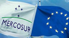 Francia frenó el acuerdo entre la Unión Europea y el Mercosur para proteger a sus agricultores Francia frenó el acuerdo entre la Unión Europea y el Mercosur para proteger a sus agricultores