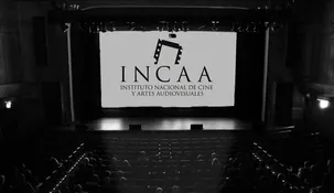 También se dispuso que las productoras que hayan pedido un subsidio, una vez terminado el proyecto, no puedan volver a solicitar recursos públicos durante el siguiente año.