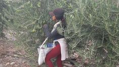 La AFIP aseguró que los trabajadores retornen a sus viviendas en condiciones aceptables de alimentación y salubridad. La AFIP aseguró que los trabajadores retornen a sus viviendas en condiciones aceptables de alimentación y salubridad.