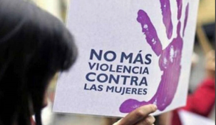 Entre el 1 de enero y el 30 de octubre se han contabilizado 239 femicidios en Argentina.