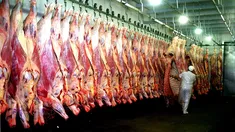 El Gobierno eliminó retenciones a carnes y productos lácteos El Gobierno eliminó retenciones a carnes y productos lácteos