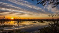 Se trata de un humedal que ocupa el segundo lugar en tamaño dentro de Argentina, solo superado por los Esteros del Iberá. Se trata de un humedal que ocupa el segundo lugar en tamaño dentro de Argentina, solo superado por los Esteros del Iberá.