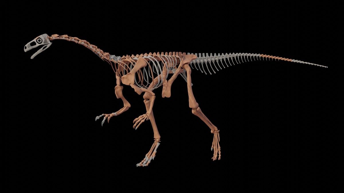 Descubren en La Rioja una nueva especie de dinosaurio de más de 230 millones de años