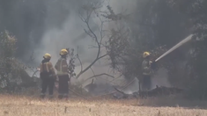 El fuego se habría iniciado por la caida de un poste eléctrico.&nbsp;