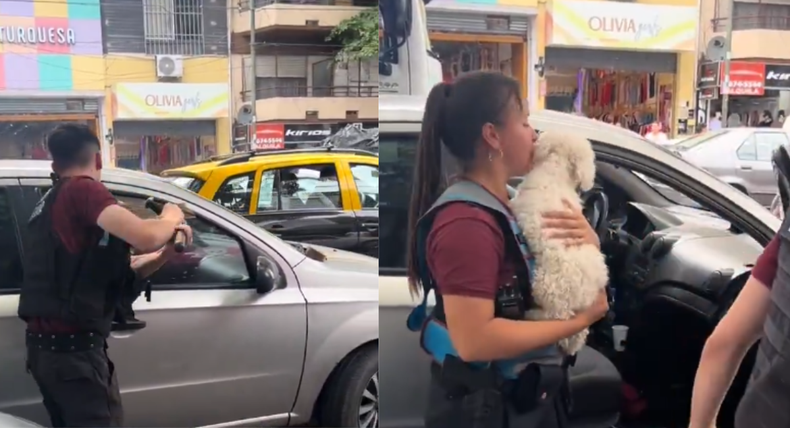 Un final feliz para el perrito que quedó encerrado dentro de un auto en Flores.&nbsp;