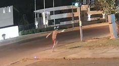 Atacarona balazos el frente de un canal de TV en Rosario: “Dejen de trabajar con losfiscales” Atacarona balazos el frente de un canal de TV en Rosario: “Dejen de trabajar con losfiscales”