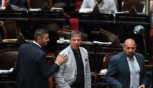 Oscar Zago confirmó que La Libertad Avanza retirará sus oradores en el debate del proyecto de Ley Ómnibus.