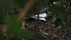 No hubo sobrevivientes en la tragedia en Río de Janeiro. No hubo sobrevivientes en la tragedia en Río de Janeiro.