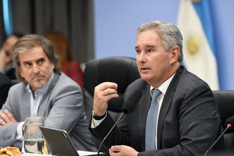 Pablo Quirno expuso en Diputados.