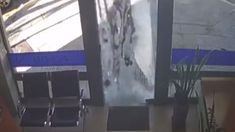 Insólito: una mujer atacó la inmobiliaria del presidente de Vélez por los malos resultados del equipo Insólito: una mujer atacó la inmobiliaria del presidente de Vélez por los malos resultados del equipo