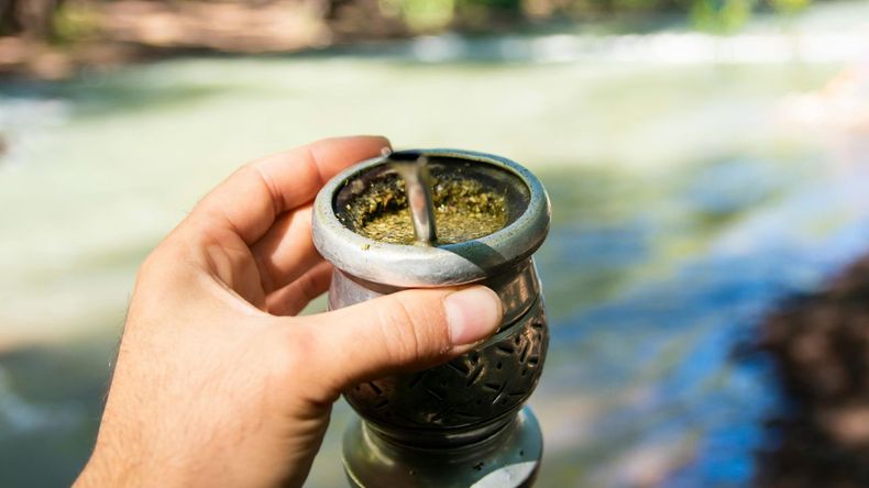 Quienes tienen dificultades para conciliar el sueño durante la noche pueden incorporar una planta que, al consumirse en una infusión, ofrece efectos relajantes y favorece el descanso.  