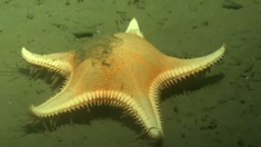 Las cámaras lograron captar un momento único. Las cámaras lograron captar un momento único.