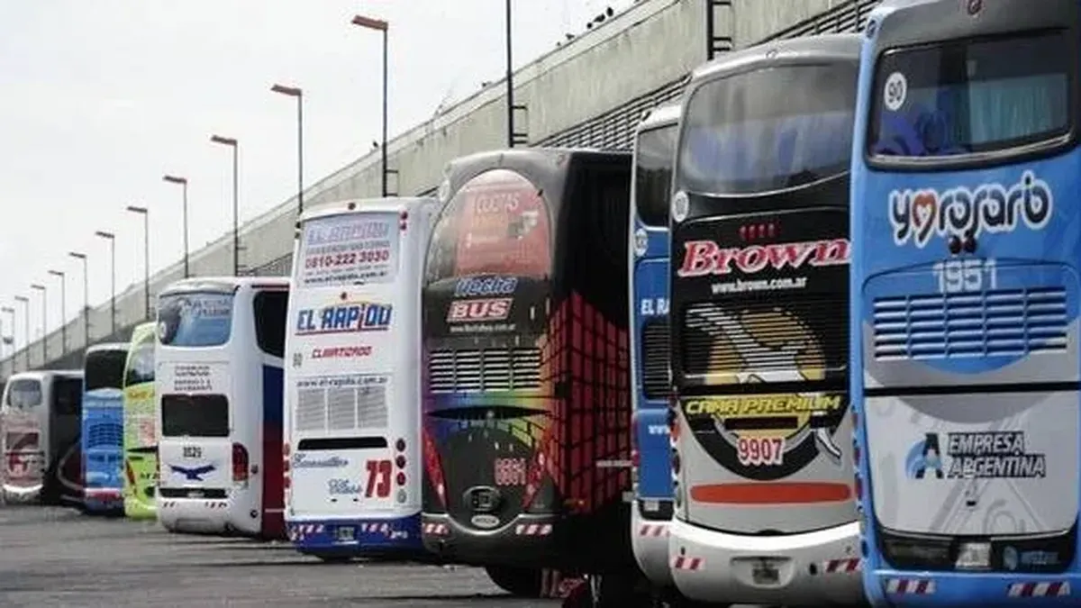 Cambios en los pasajes gratis para discapacitados en viajes de larga distancia: quiénes pueden acceder