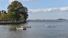 Ni Chascomús ni Mar Chiquita: la escapada de Buenos Aires a una laguna que te va a enamorar.