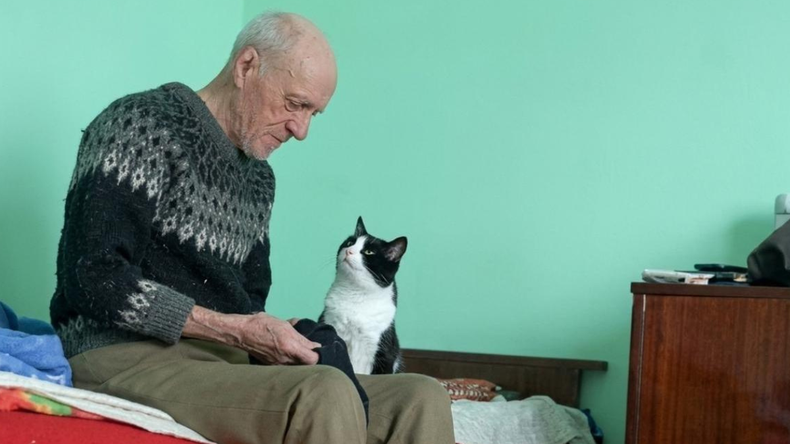 El gato permanece cerca de su dueño