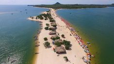 escapada amazonica: cual es la playa brasilena que combina mar con selva escapada amazonica: cual es la playa brasilena que combina mar con selva