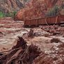 El temporal en Arizona destruyó la infraestructura del parque.