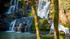 El turismo rural cobró gran relevancia en la región, permitiendo a los visitantes conocer de cerca la cultura local y su historia. El turismo rural cobró gran relevancia en la región, permitiendo a los visitantes conocer de cerca la cultura local y su historia.