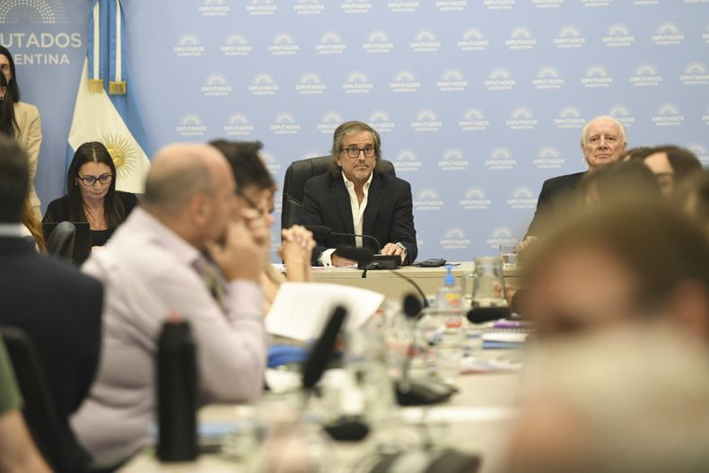 Diputados debate en comisiones la problemática del endeudamiento y la continuidad de la emergencia en discapacidad