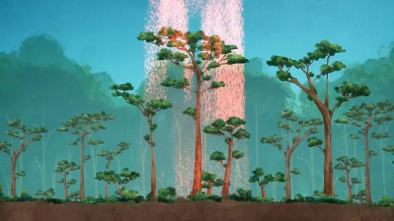 GEDI permite obtener mapas en 3D de áreas forestales