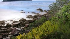 Ilha do Cardoso surge como una propuesta diferente para quienes prefieren explorar destinos alternativos. Ilha do Cardoso surge como una propuesta diferente para quienes prefieren explorar destinos alternativos.