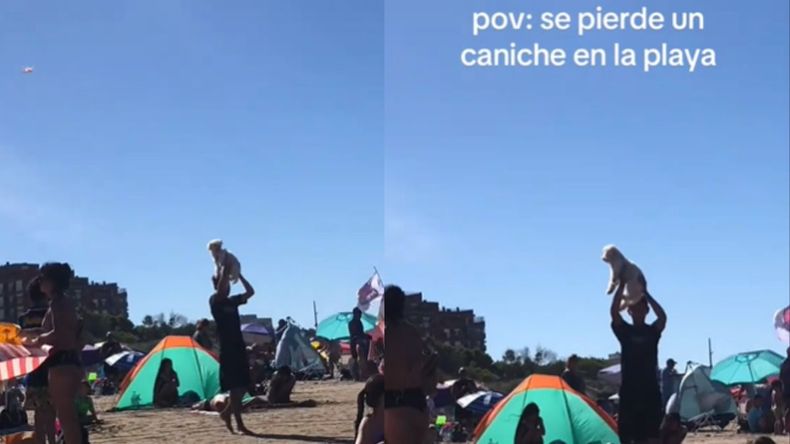 &nbsp;Se les perdió el caniche en la playa y sus dueños sorprendieron con su forma de buscarlo.