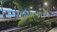 Árbol caído en la estación de Haedo. Árbol caído en la estación de Haedo.