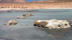 Está ubicado en el corazón del Salar de Surire, Está ubicado en el corazón del Salar de Surire,