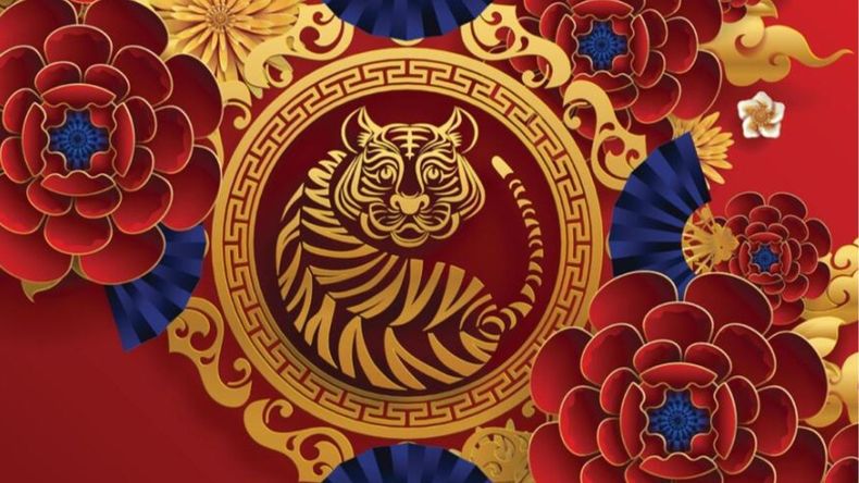 Los tigres son personas con una energía contagiosa y un gran carisma. 
