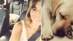 El dolor y la furia de Gianinna Maradona porque atropellaron y mataron a su perra: HDP, deseo que toda tu vida te acuerdes de ella El dolor y la furia de Gianinna Maradona porque atropellaron y mataron a su perra: HDP, deseo que toda tu vida te acuerdes de ella