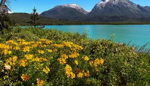 Tres lugares para redescubir la Patagonia: montañas, nieves, lagos, flora y fauna únicas en el mundo.