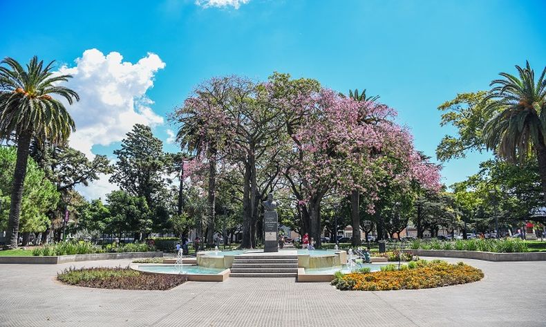 La escapada a 50 minutos de Buenos Aires para disfrutar de la naturaleza.