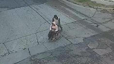 Un ladrón que roba en silla de ruedas fue detenido. Un ladrón que roba en silla de ruedas fue detenido.