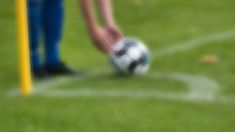 Los equipos que se olvidaron de perder. Los equipos que se olvidaron de perder.