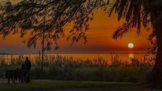 Las puestas de sol en esta localidad de Córdoba son espectaculares. Las puestas de sol en esta localidad de Córdoba son espectaculares.