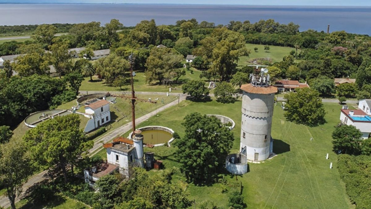 La misteriosa Isla Martín García: una reserva natural a dos horas de Buenos  Aires