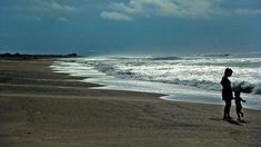 Las dunas y la vegetación autóctona de Aguas Verdes forman un paisaje único en la Costa Atlántica. Las dunas y la vegetación autóctona de Aguas Verdes forman un paisaje único en la Costa Atlántica.