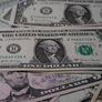 El dólar oficial se mantiene estable durante la semana.