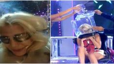 Cande Ruggeri, al borde del ataque de nervios, pedía que no le tiren los bichos Cande Ruggeri, al borde del ataque de nervios, pedía que no le tiren los bichos