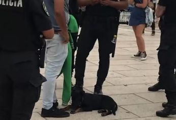 El momento en el que la Policía rodeó al hombre en la Rambla de Mar del Plata.