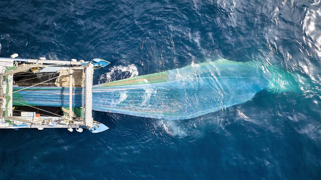 La pesca de arrastre, uno de los grandes riesgos para el mar.