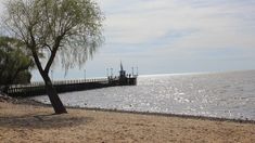 La escapada cerca de Buenos Aires para ir a una costanera linda y tomar mates en febrero 2025.